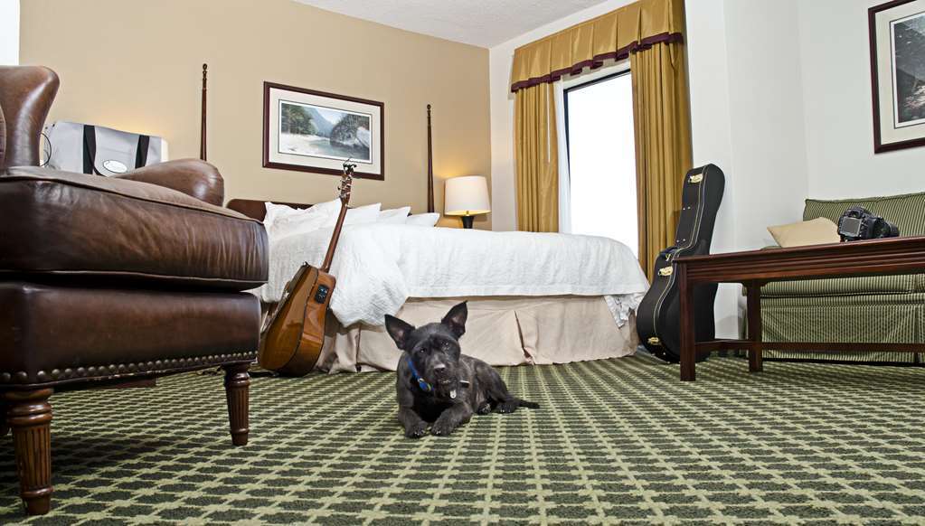 克里斯琴斯堡/黑堡汉普顿旅馆酒店 客房 照片